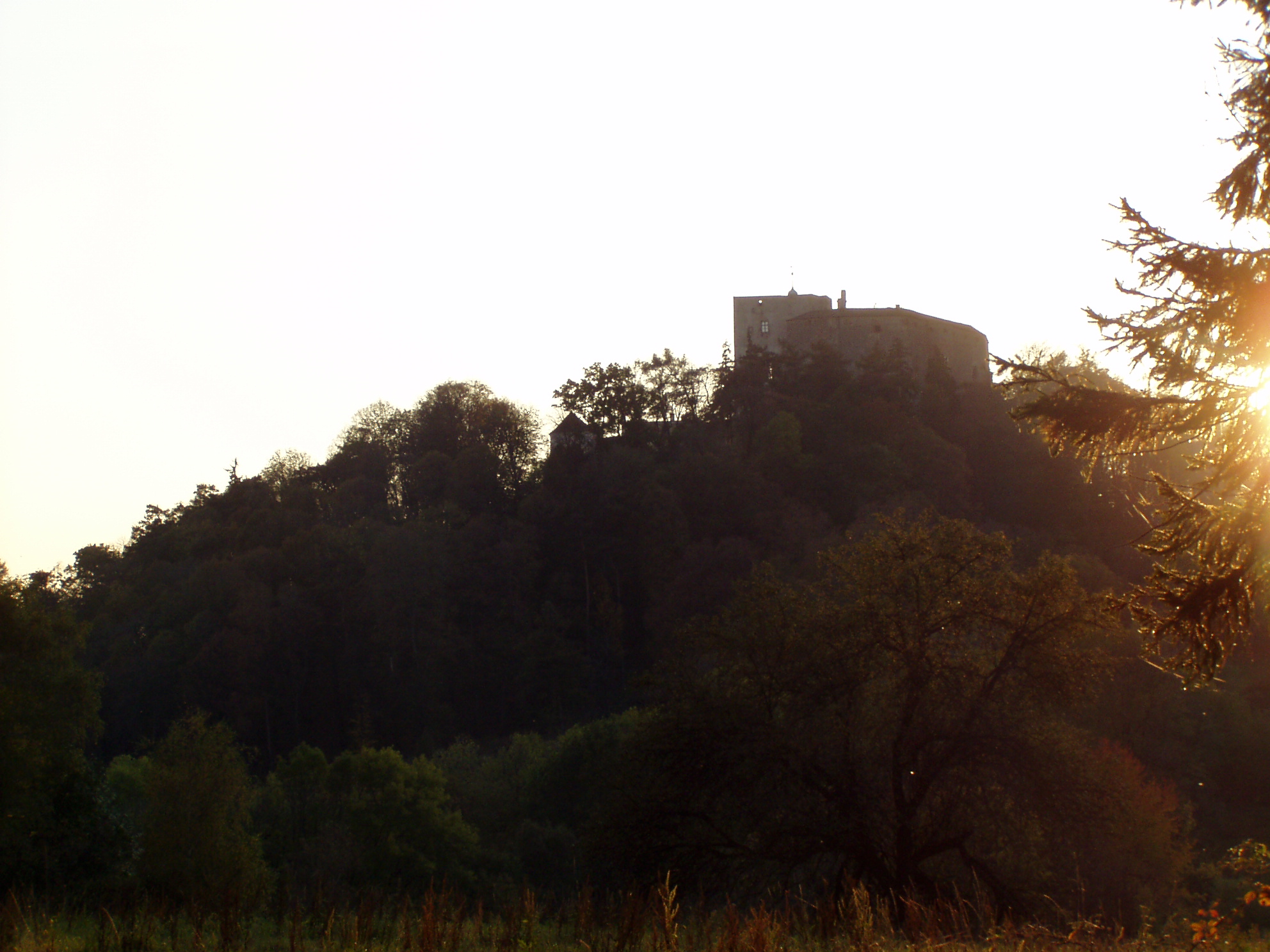 p1010161.jpg