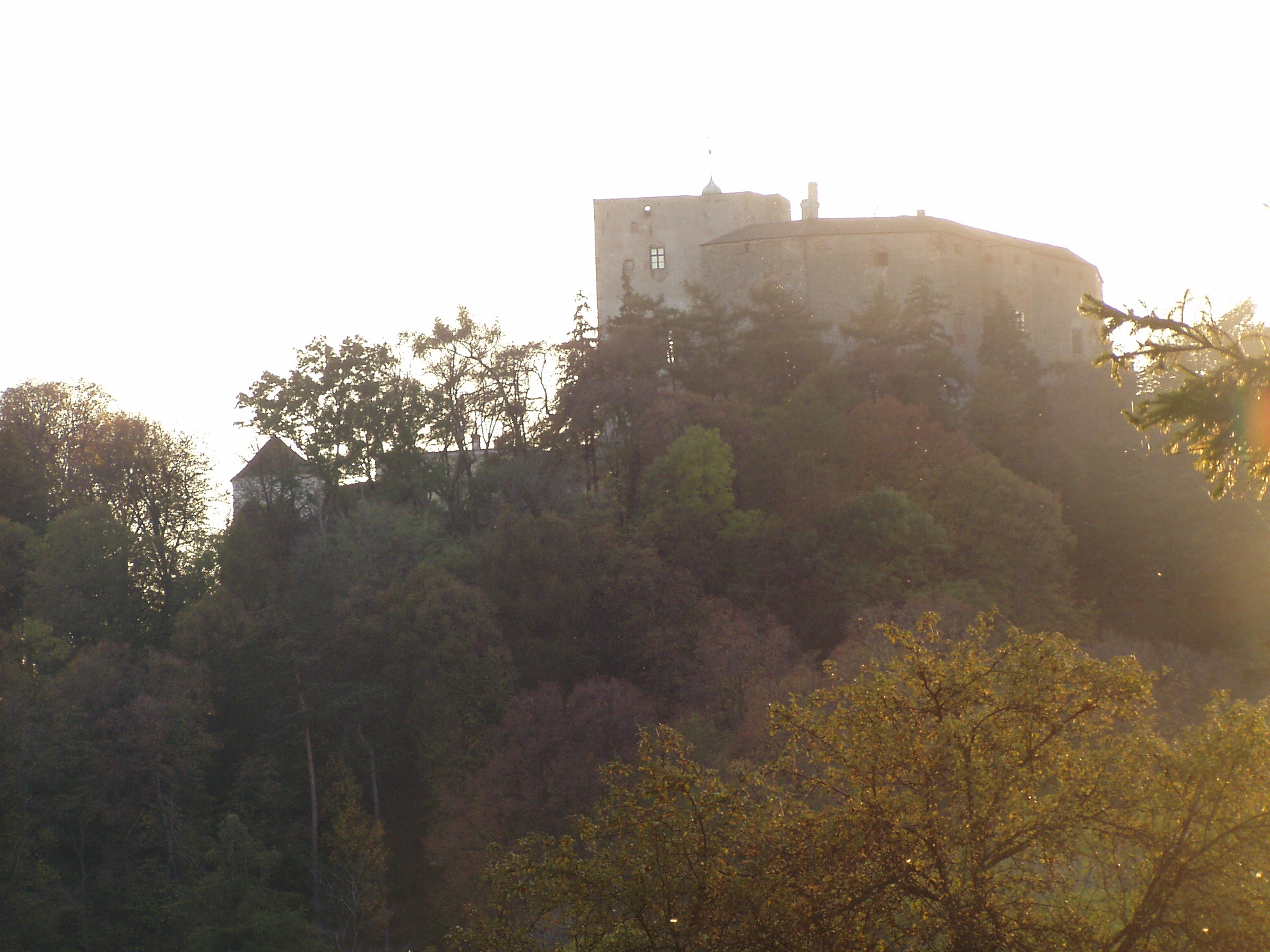 p1010163.jpg