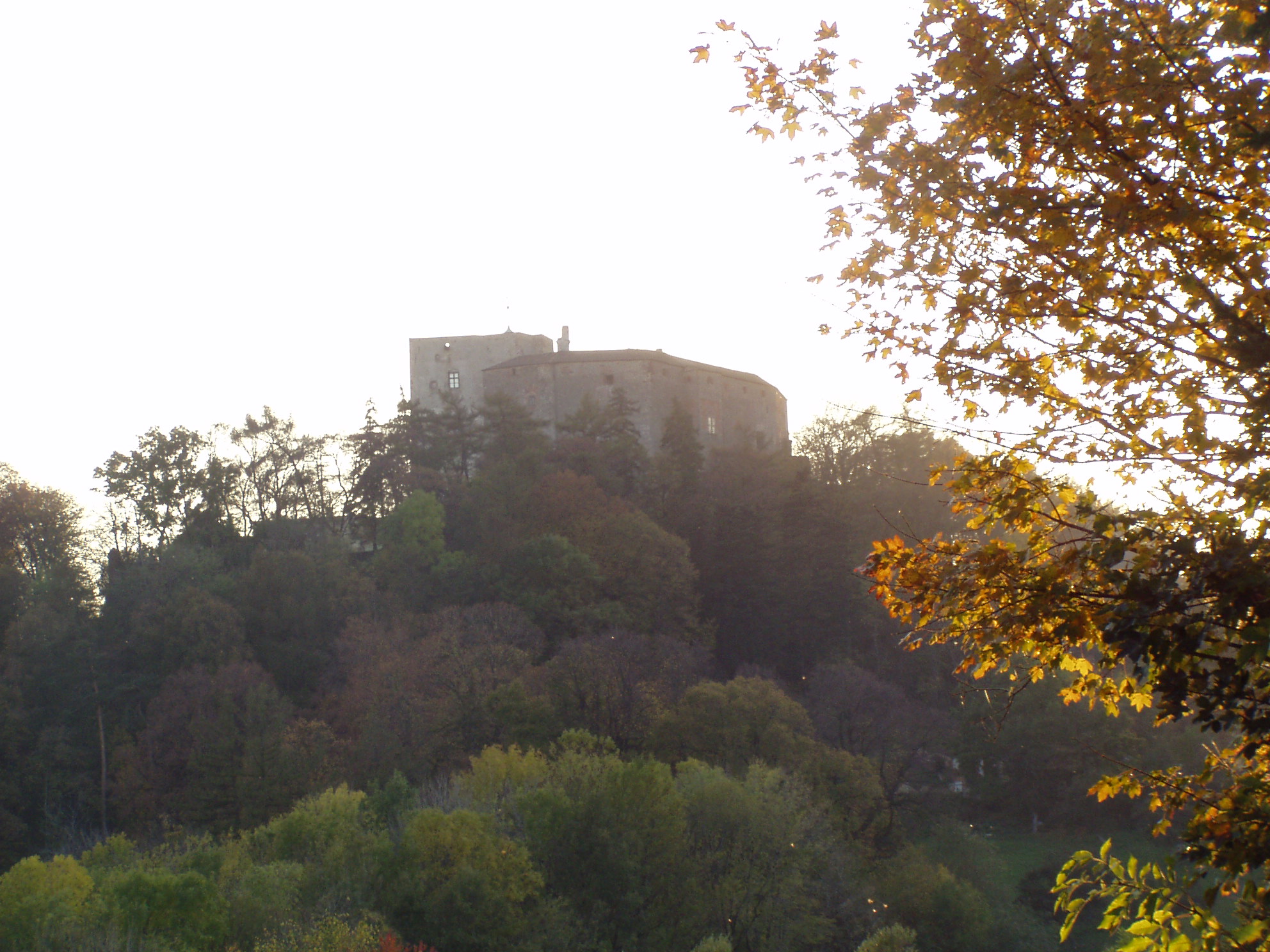 p1010166.jpg