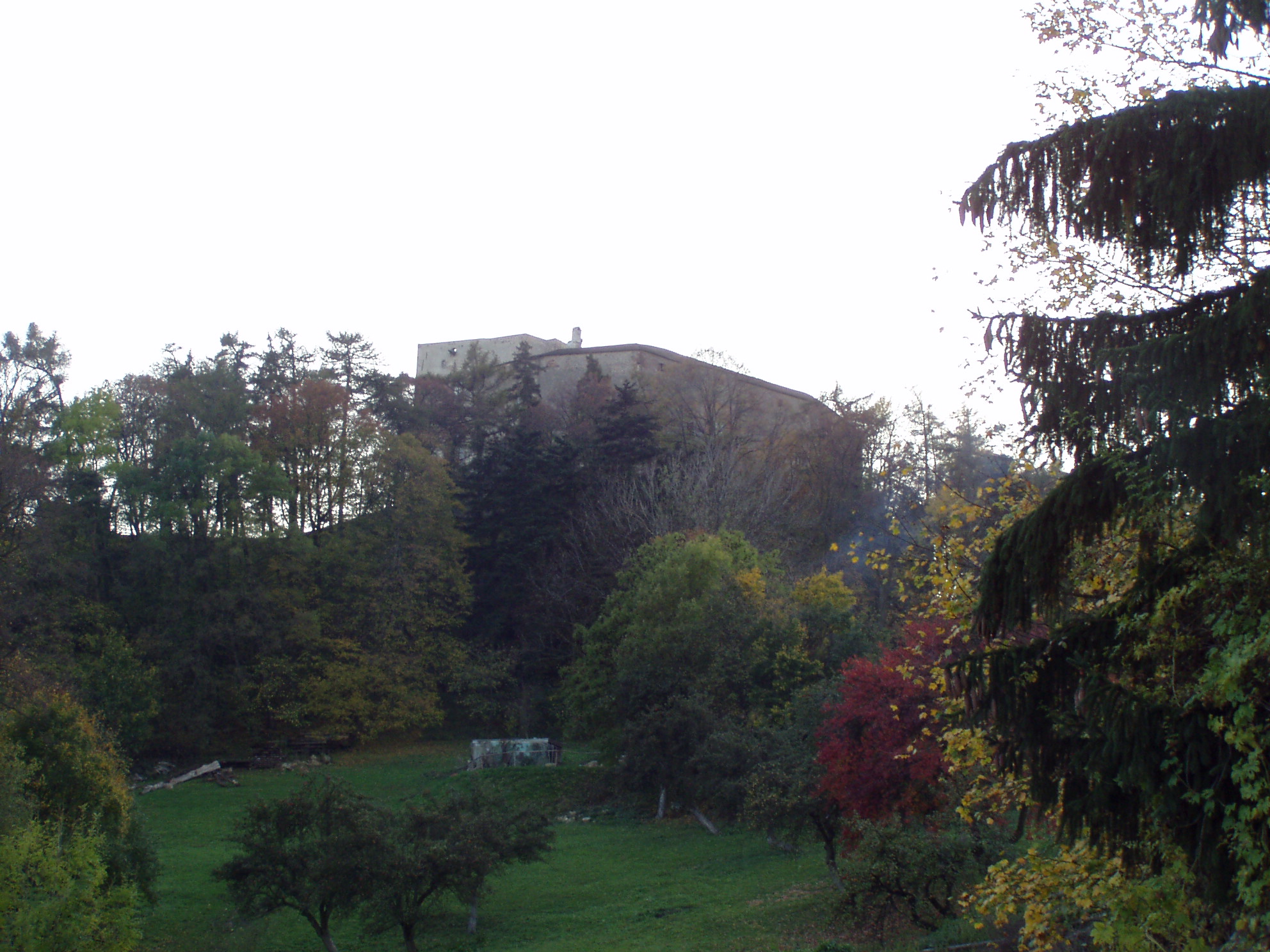 p1010170.jpg